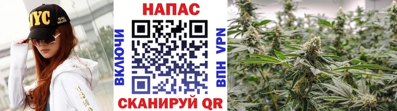 Что такое Болохово Каннабис  СК  ГАШИШ  Меф мяу мяу  КОКАИН 