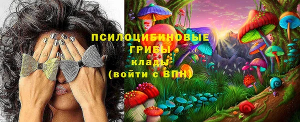 спайс Алексеевка